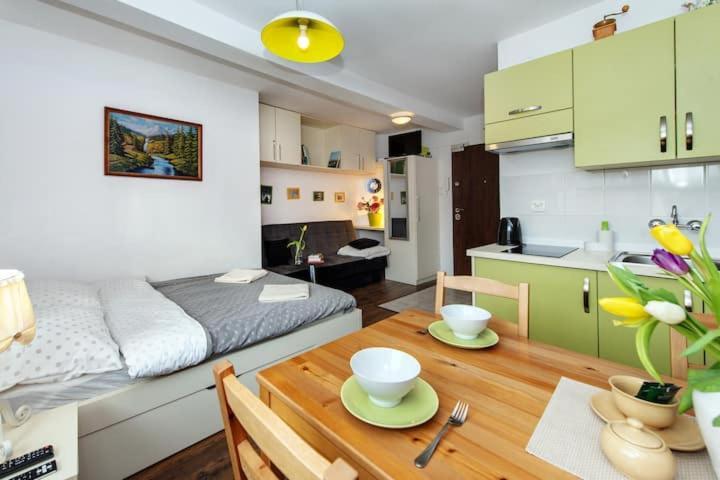 Cosy Studio Apartment Krakow Luaran gambar